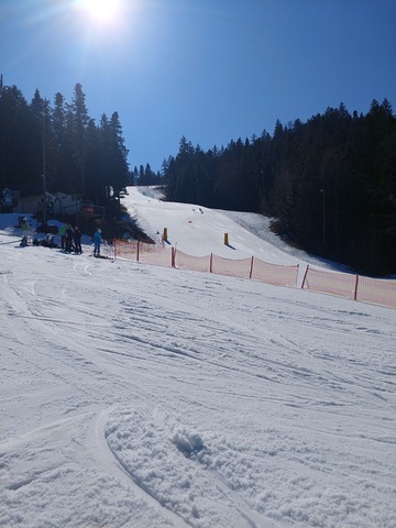 Slalom