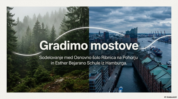 gradimo_mostove.jpeg